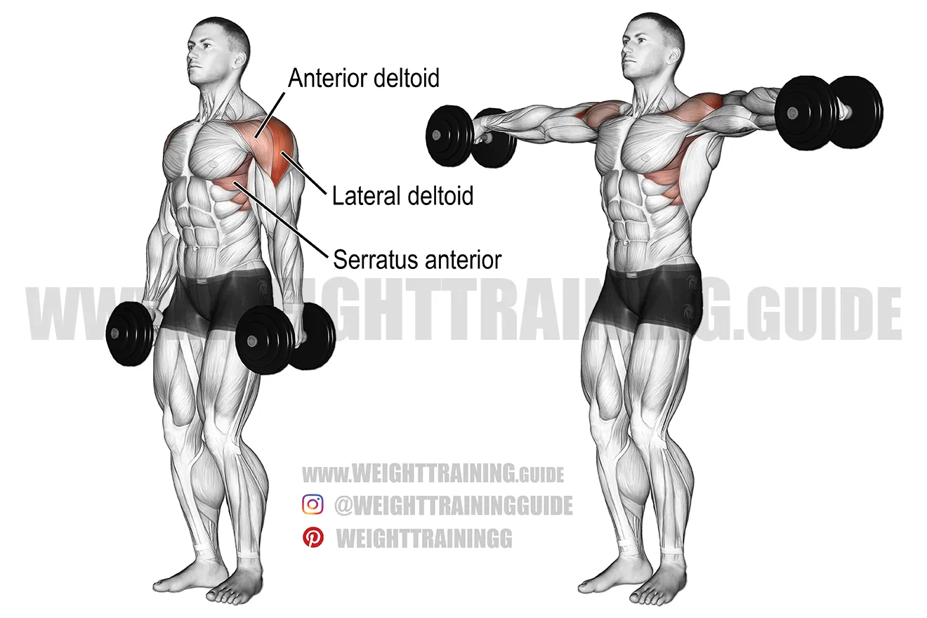 Dumbell Lateral Raise