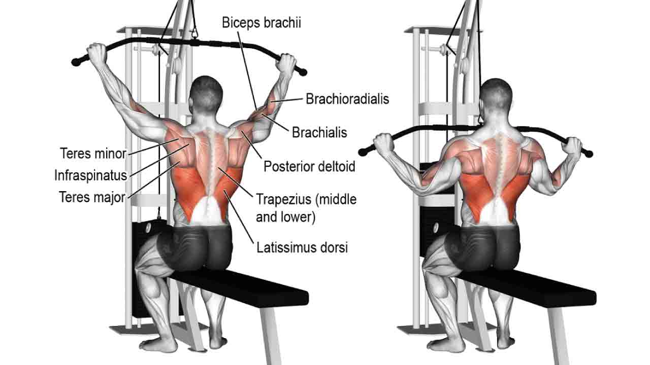 Lat Pulldown