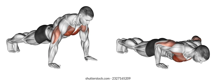 Push Up
